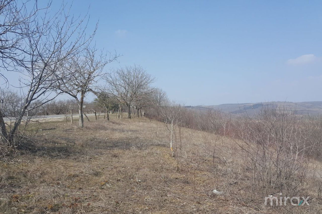 s. Cristești, Nisporeni, Moldova foto 2