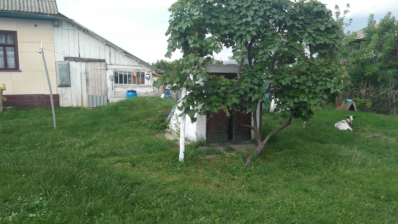 Продаётся дом. фото 5