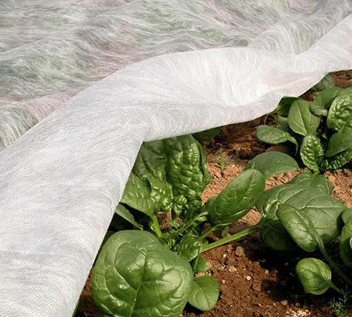 Белое Агроволокно + UV / Agrostofe + UV 20 gsm / 40 gsm / 50 gsm foto 1