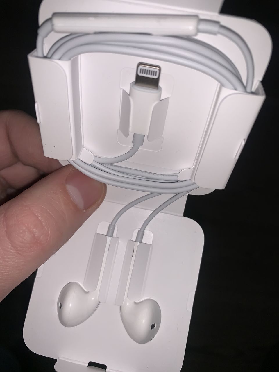EarPods Originale iPhone 11 Pro Max