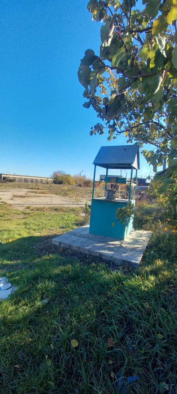 Se vinde spațiu industrial în or. Sângerei, Dobrogea Veche, Moldova фото 1