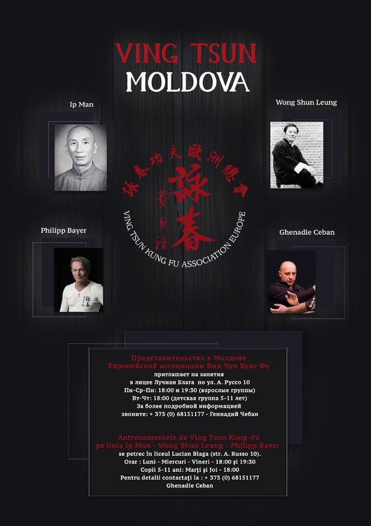 Wing chun kung-fu ( китайский бокс) вин чун кунг-фу foto 5