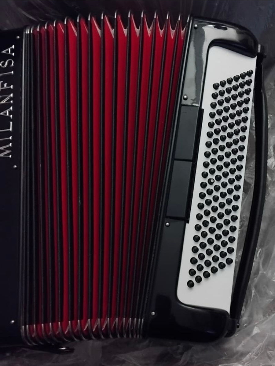 Итальянский аккордеон Acordeon Italian 120 basi foto 3