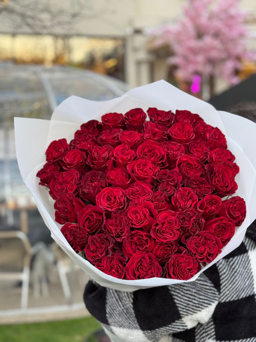 Oferte speciale la lalele! 51 la 1000 lei / soiuri olandeze! foto 4