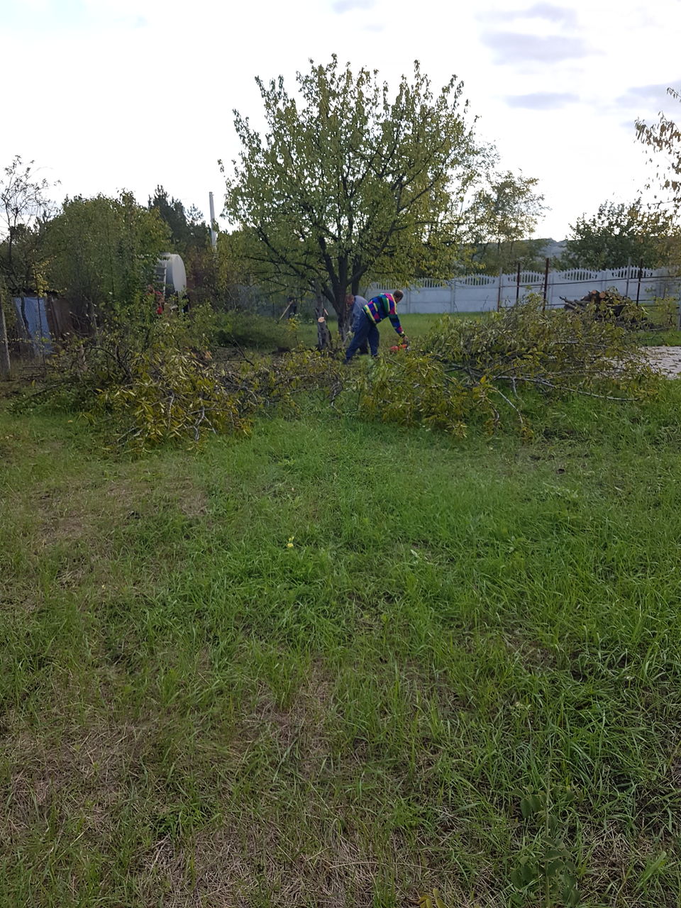 Facem curat in gradina linga casă curat la vila foto 3