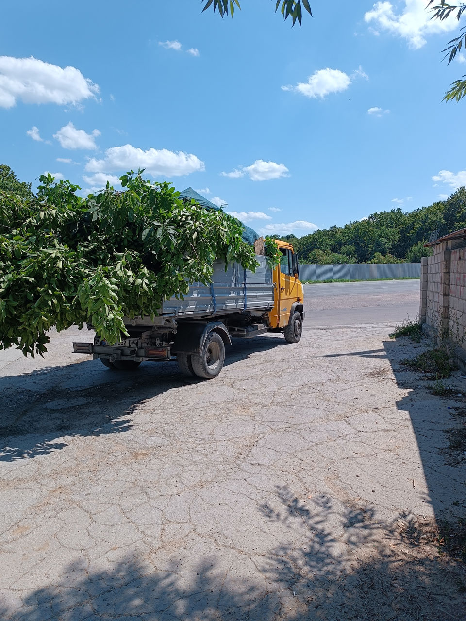 Evacuare deșeuri:ducem gunoiul din orice loc în chișinău.bus zil,kamaz,conteiner,,saci gunoi,evacuar foto 6