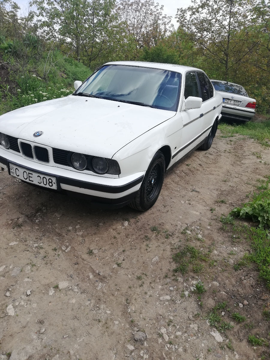 BMW 5 Series foto 4