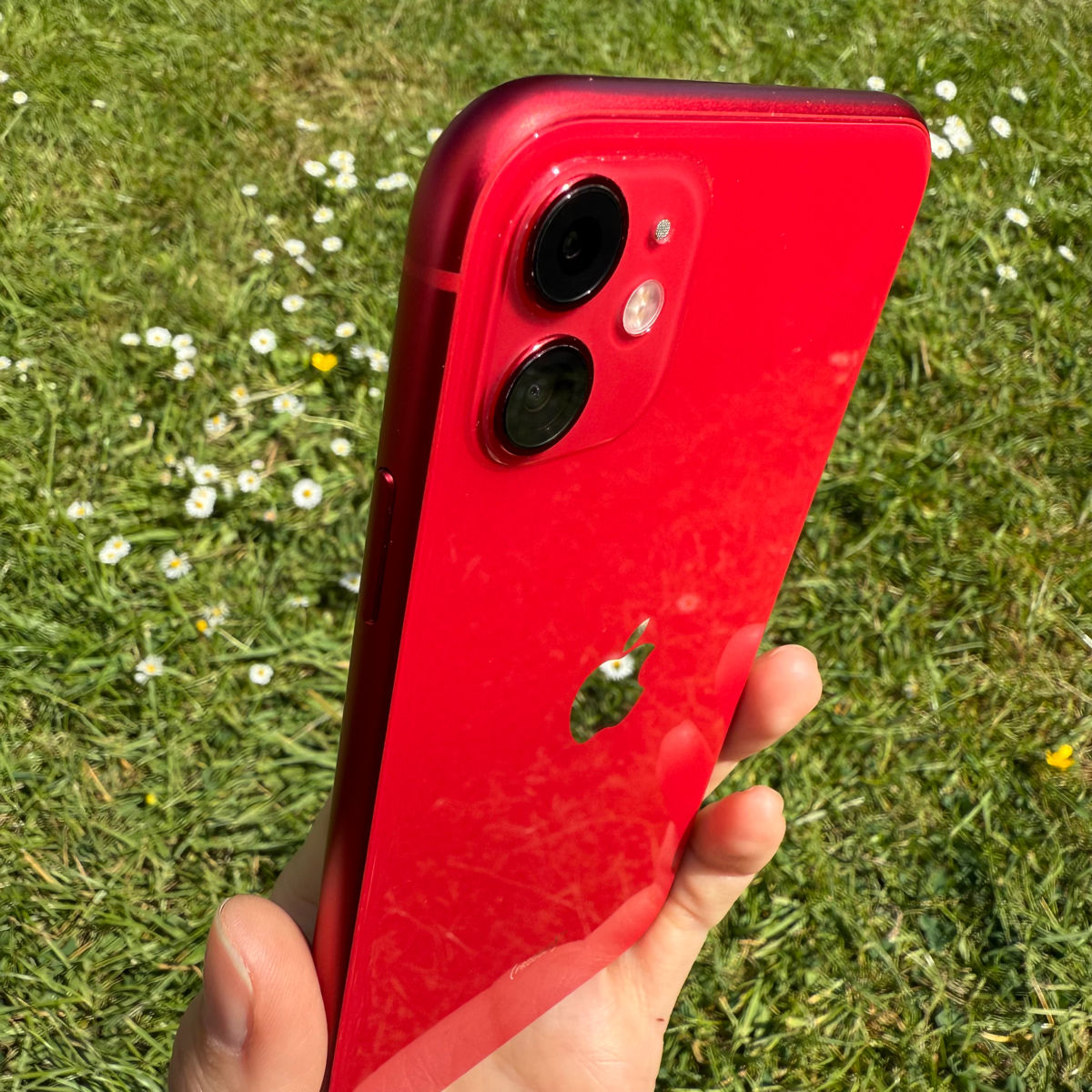 Apple iPhone 11 Red foto 6