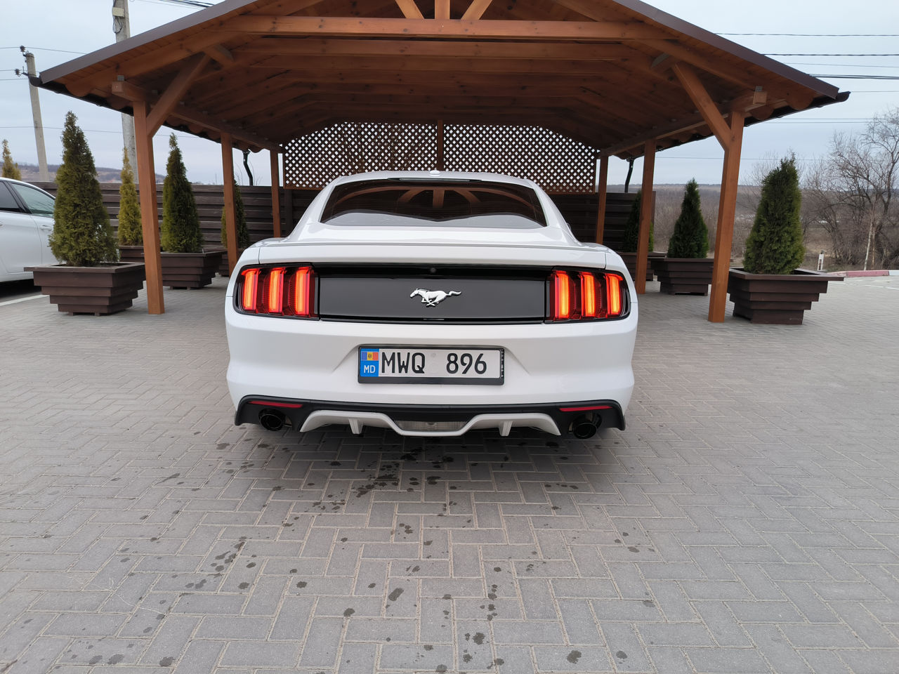 Ford Mustang foto 5