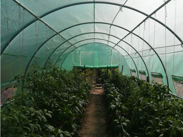 Sera 12x3x2m/polietilenă armată 180g/m/теплица/двери 2/livrarea gratuita in toata tara/6850 lei foto 2