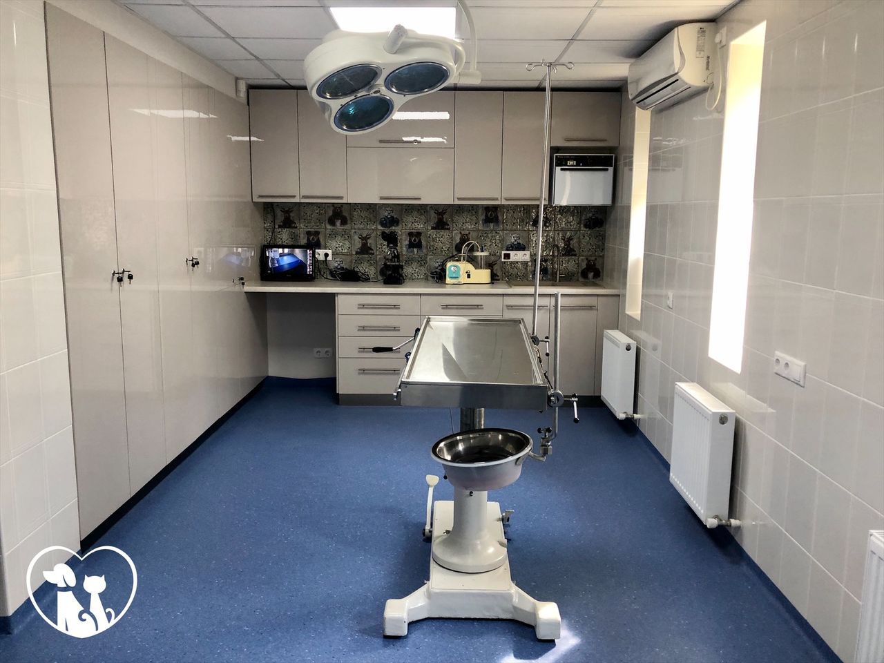 Clinica veterinara "vetasist" foto 2