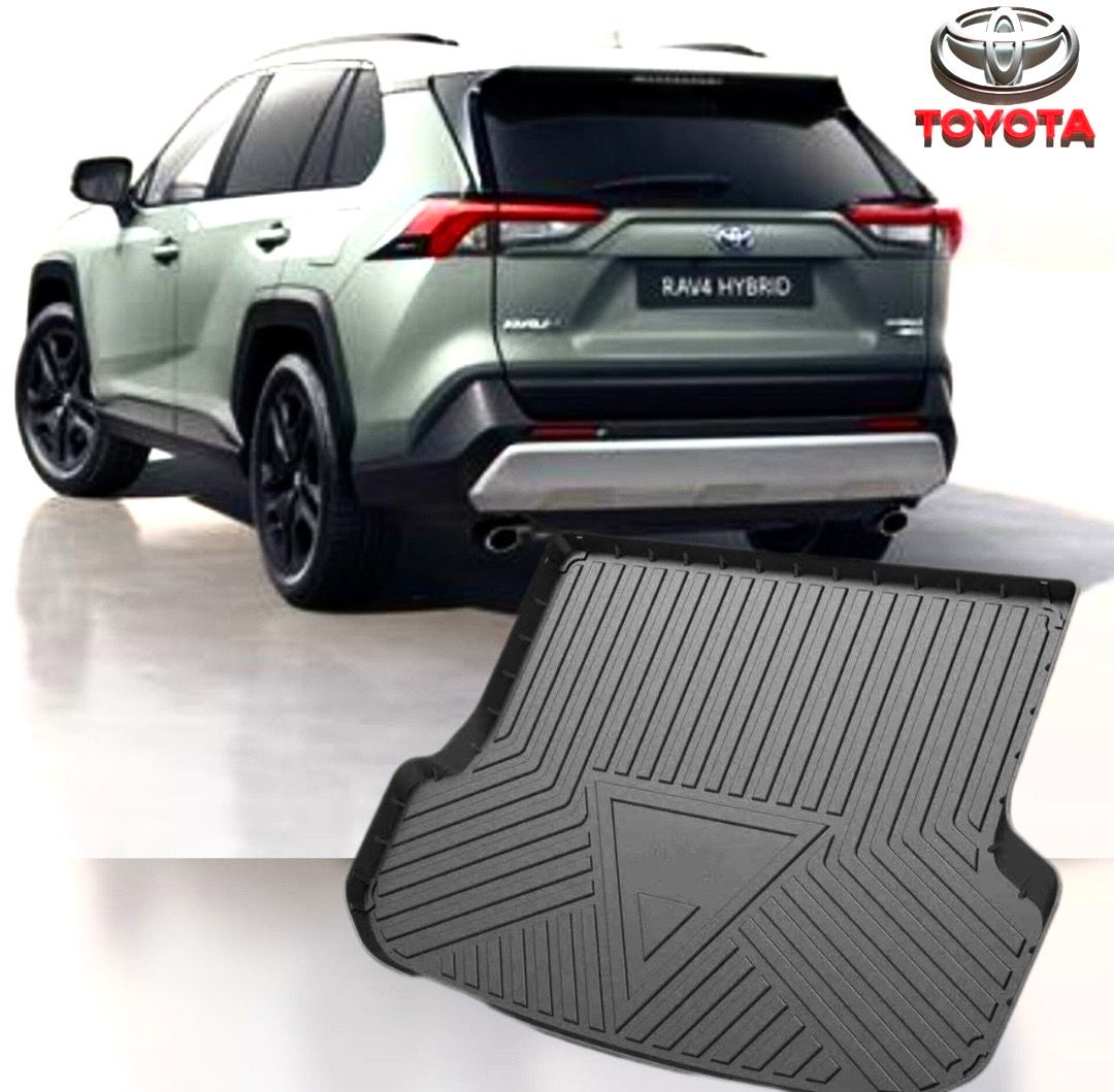 RAV4  2019-2025 foto 0