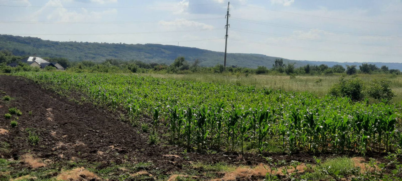 1 ari la traseu, 15 metri iesire spre traseu, 143 m în adîncime, acces de pe 2 drumuri, cu gaz, apă  foto 7
