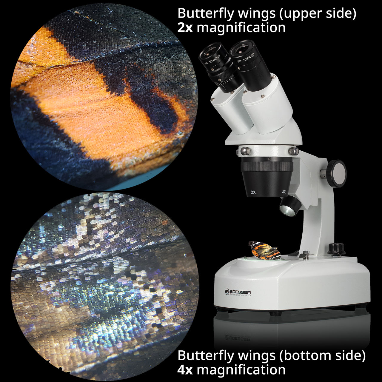 Microscop științific/biologic Bresser ICD LED Stereo 20x-80x foto 8