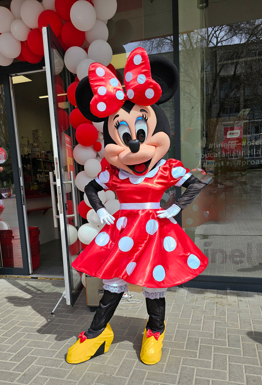 Mickey și Minnie Mouse / Микки и Минни маус аниматоры / animatori mascote Moldova foto 4