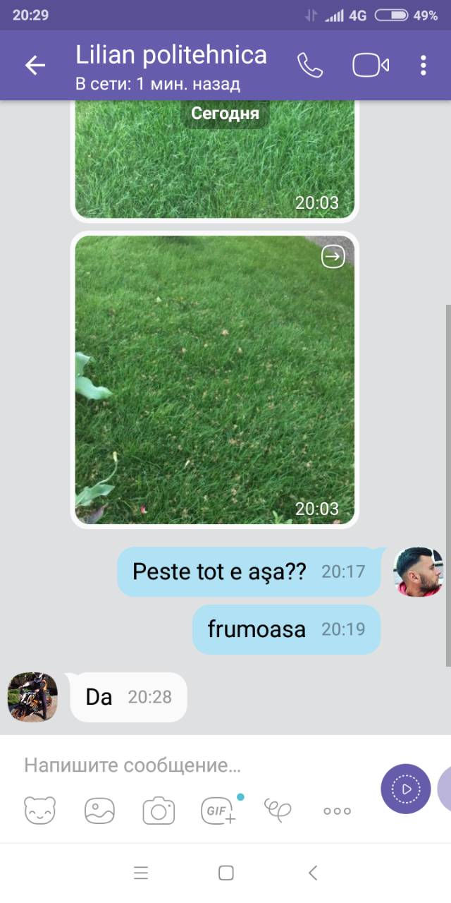 Îngrășăminte pentru iarbă de gazon, reînvie firele galbene ,pete uscate,zone moarte 120 lei kg фото 9