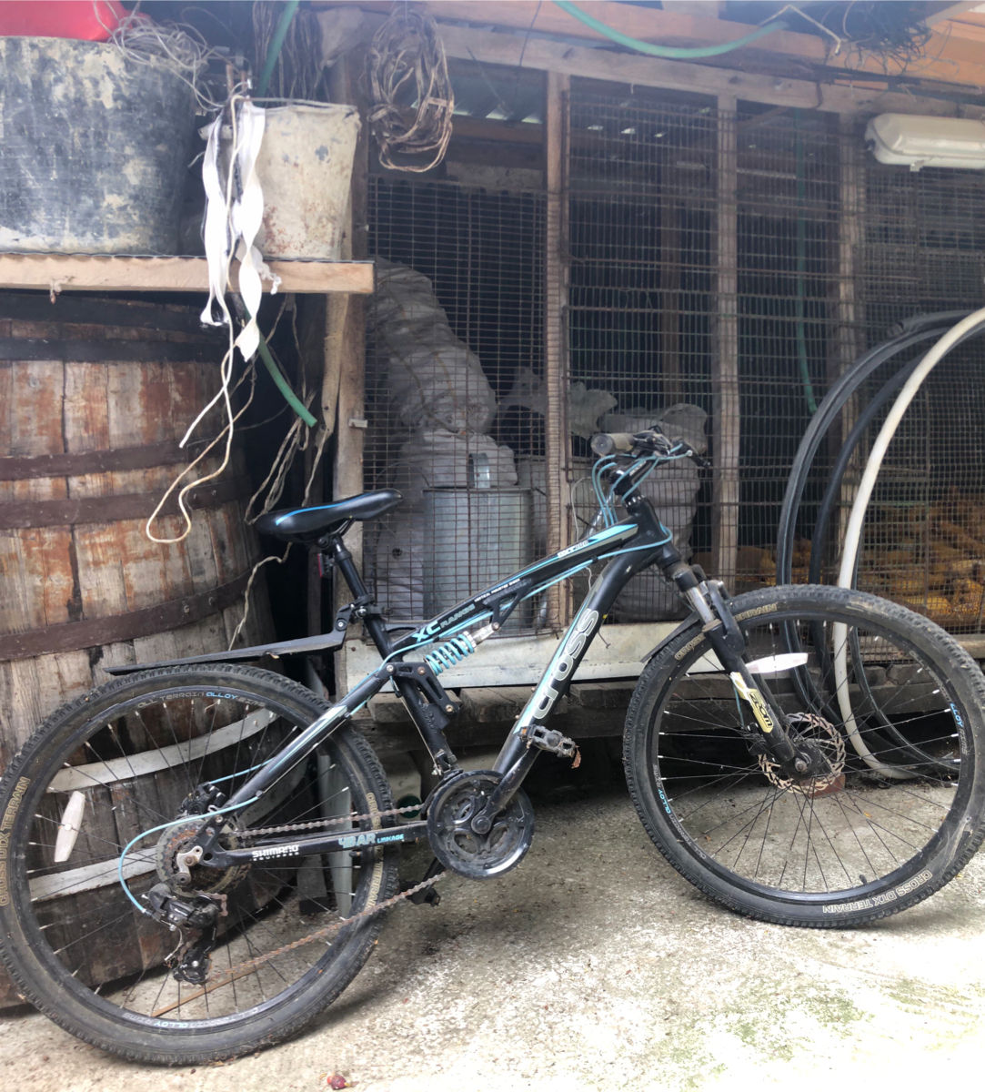 cross dxt700