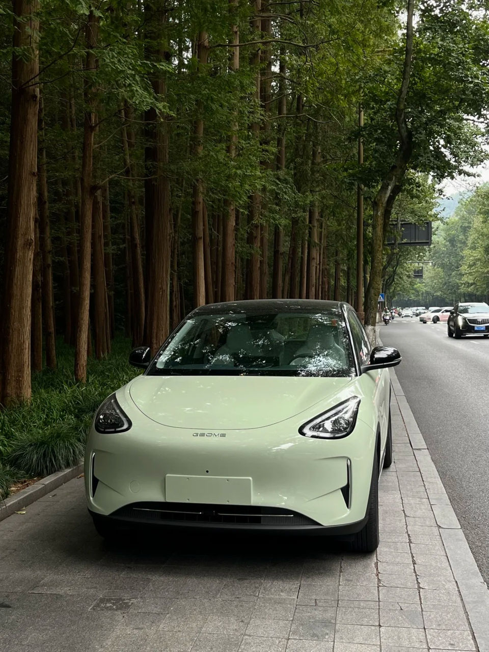Geely Geome Xingyuan фото 3