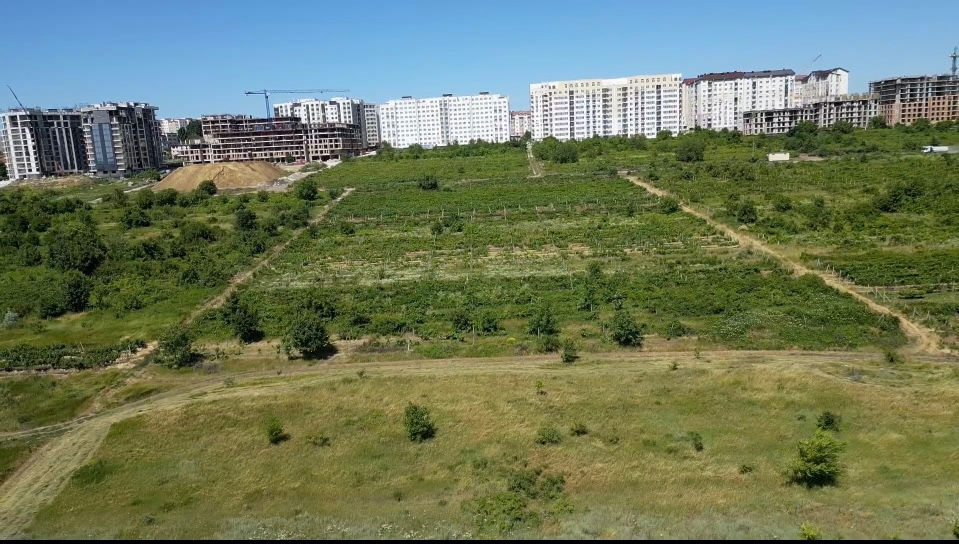 Teren cu potențial!!! foto 0