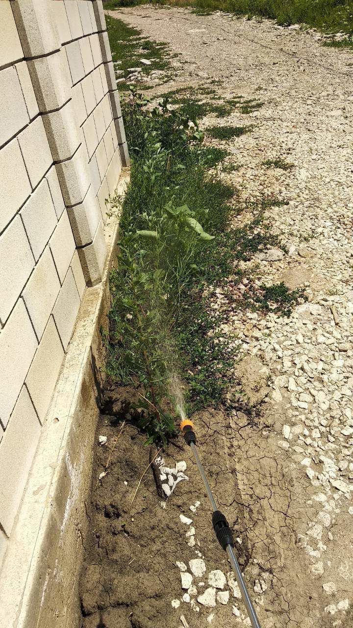 Soluție pentru buruian teracotă. (s.special pentru livezi , viță de vie,perimetru casă) foto 1