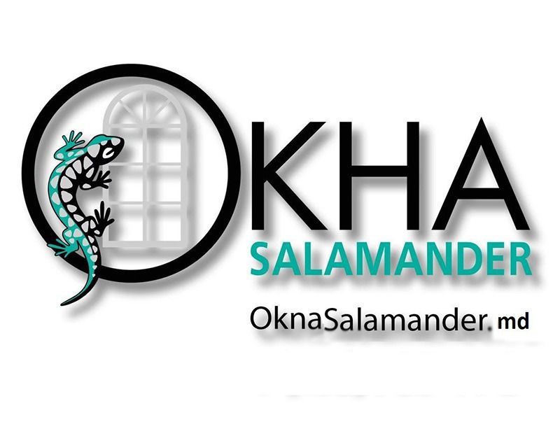 OknaSalamander в Молдове.Тишина и спокойствие!!! foto 2