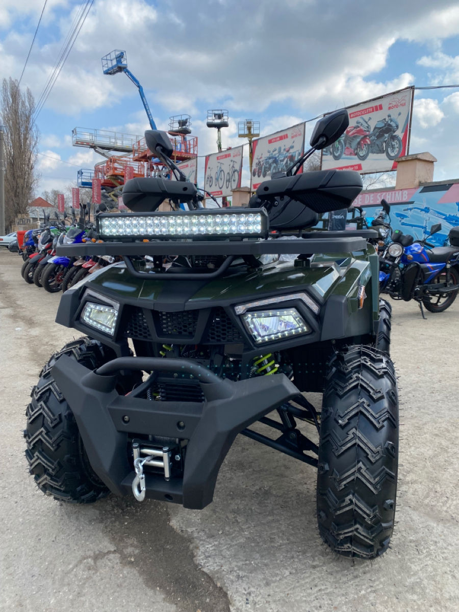 Viper 250 foto 3