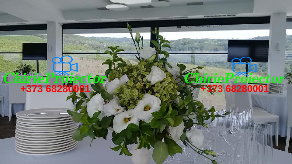 Прокат большого телевизора 55" / 75". Доставка и установка. foto 9