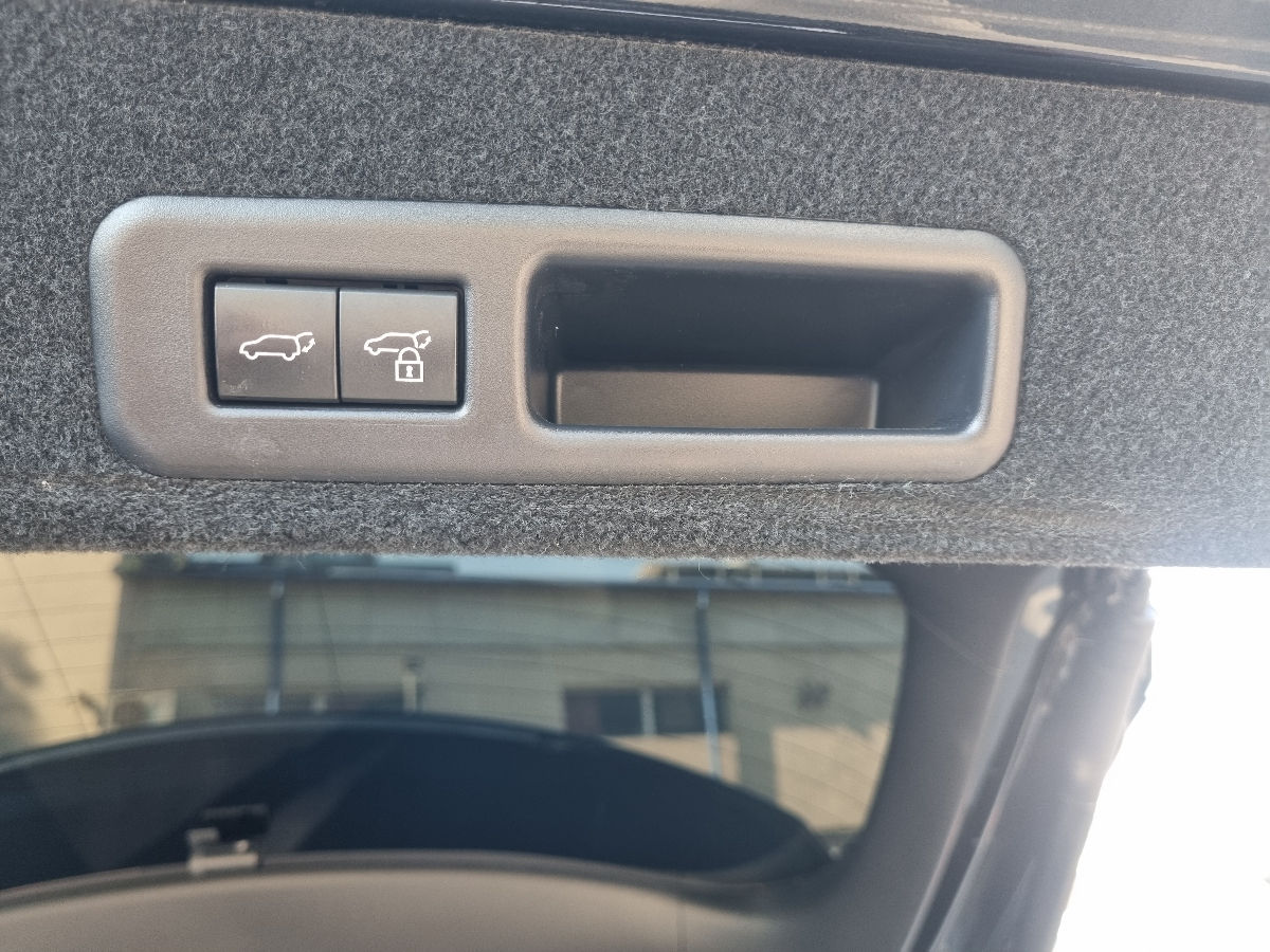 Lexus RX Series 2022 photo 18