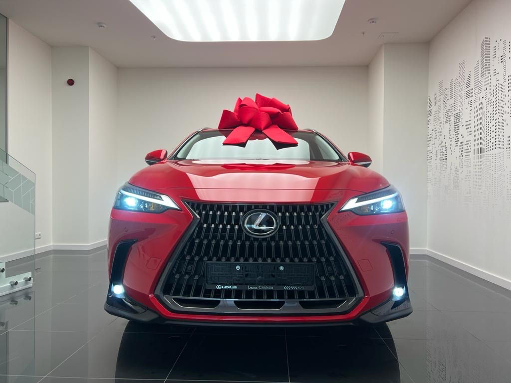 Lexus NX Series foto 1