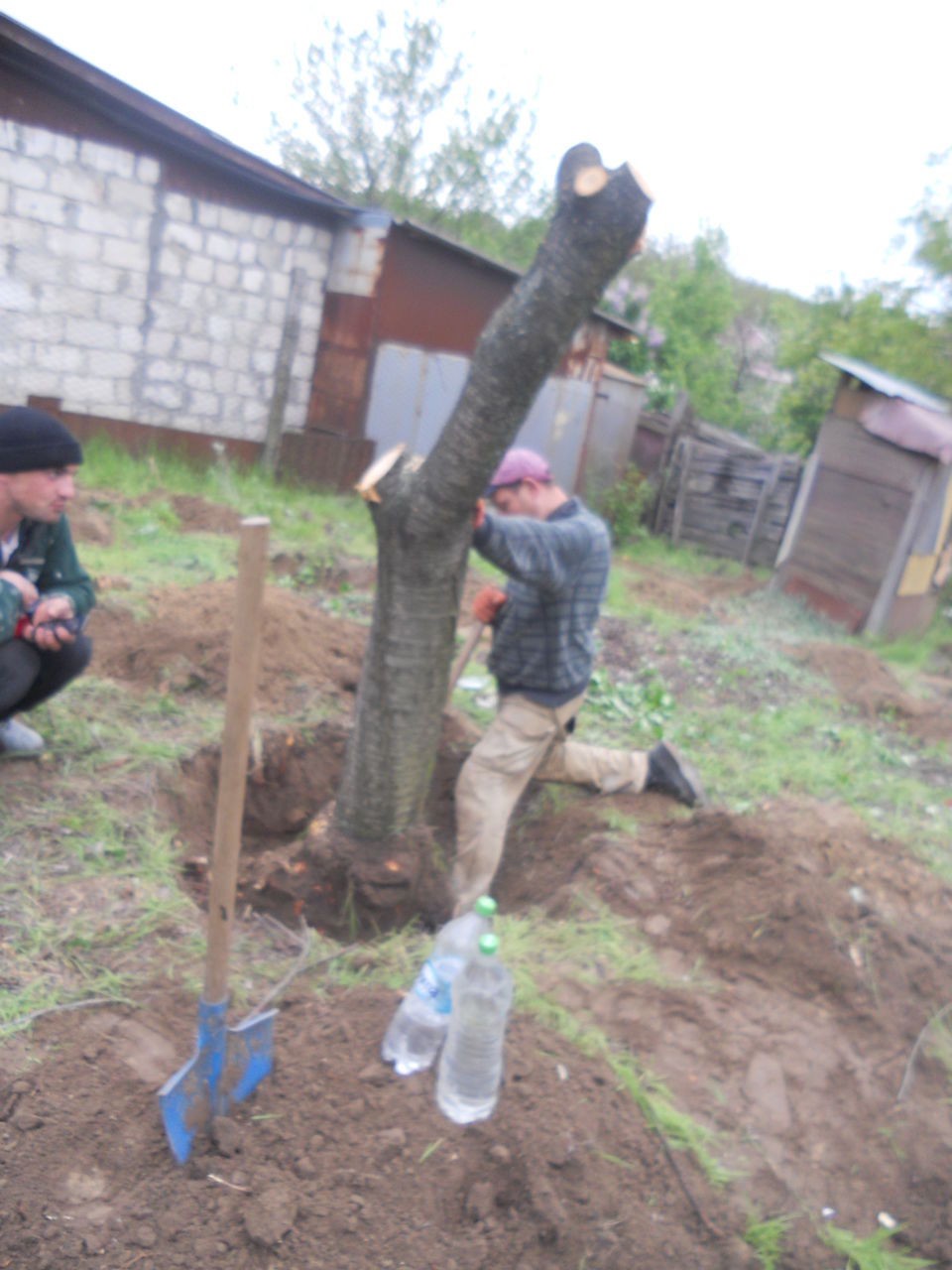 Копаем огороды. Вырубка деревьев. Чистка деревьев. Уборка территории фото 4