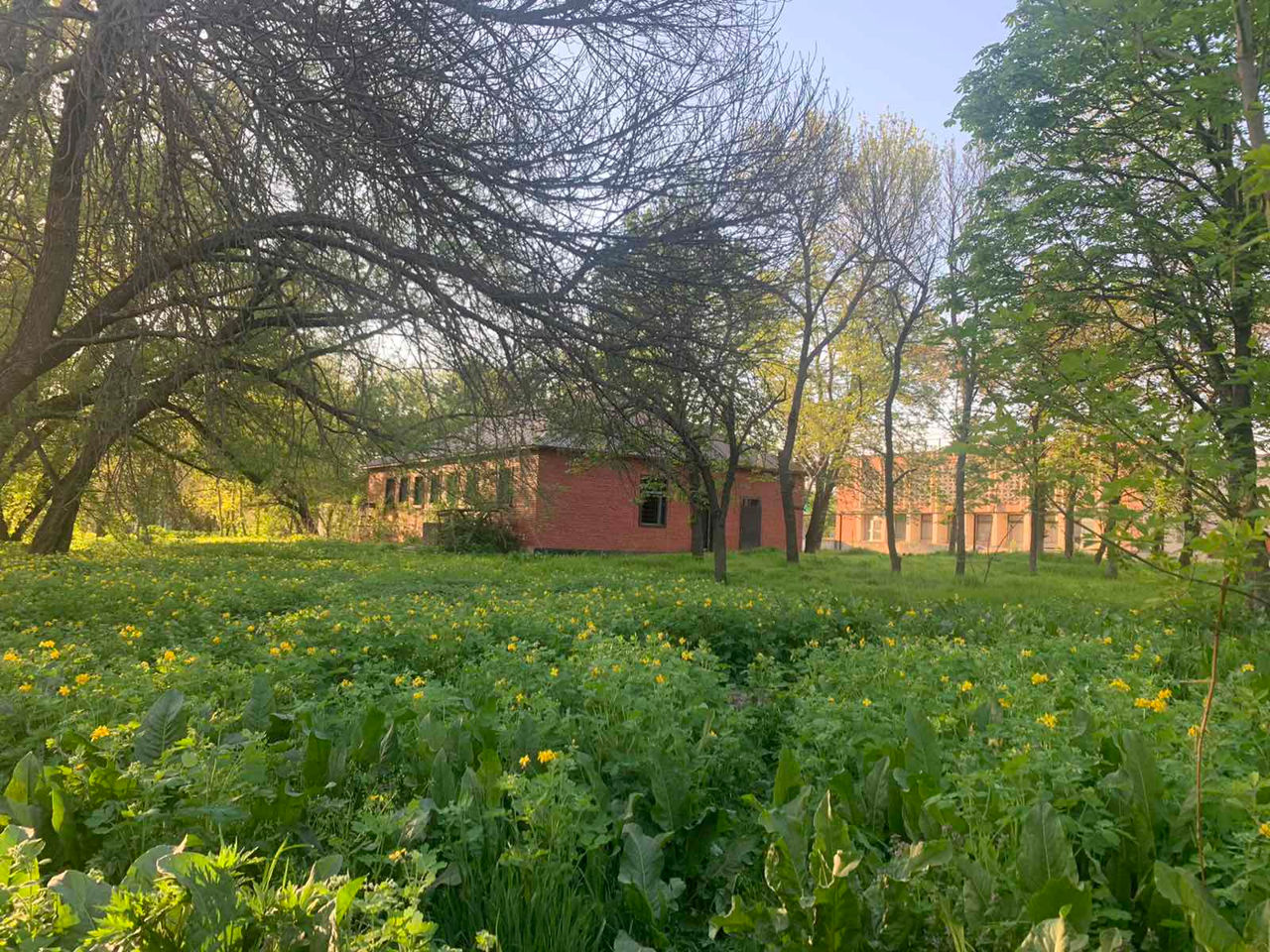 На продаже участок на берегу foto 3