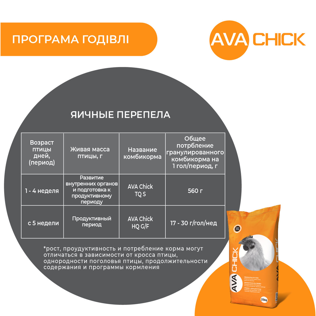 Furaj Pentru Ouă De Prepeliță Ava Chick Hq G/f . Pungă 25kg foto 3