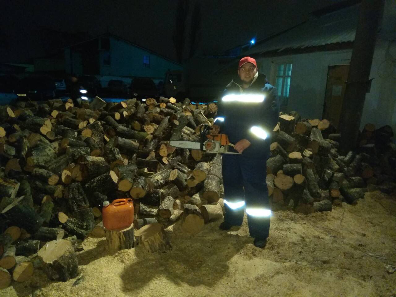 Tăiere (tai) lemne, crengi , pomi , copaci  și doborirea copacilor foto 3