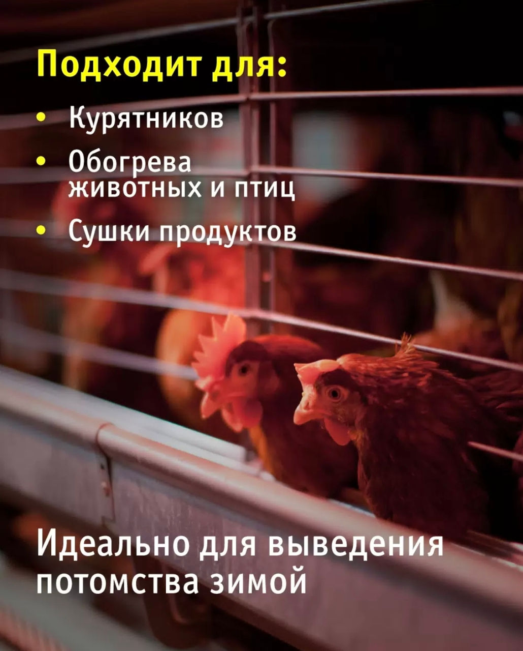 Becuri IKZ,лампы для обогрева птиц,животных Е27-25W,40W,60W,75W,100W,250W foto 3