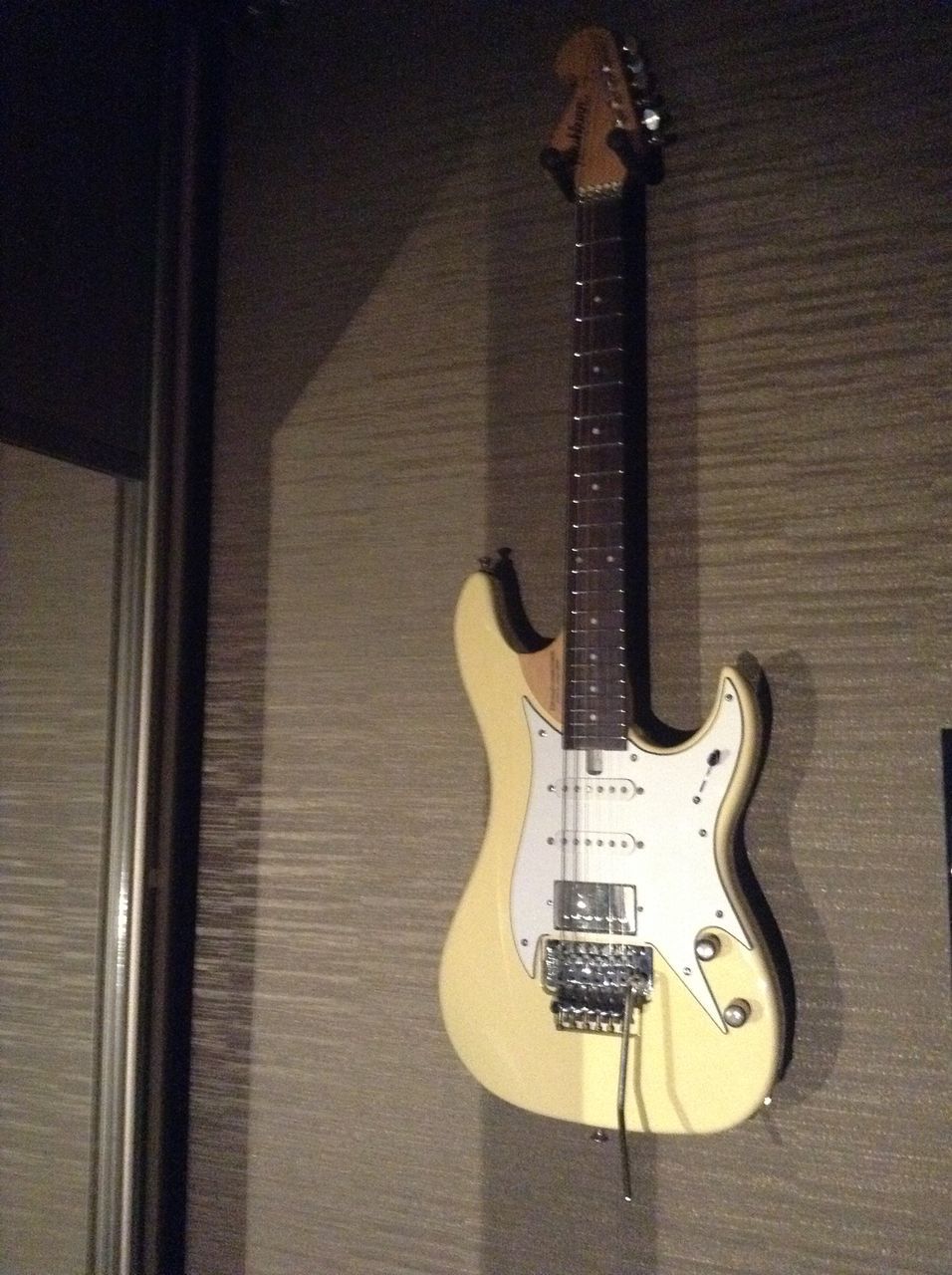 Washburn N61.Washburn Wi66V