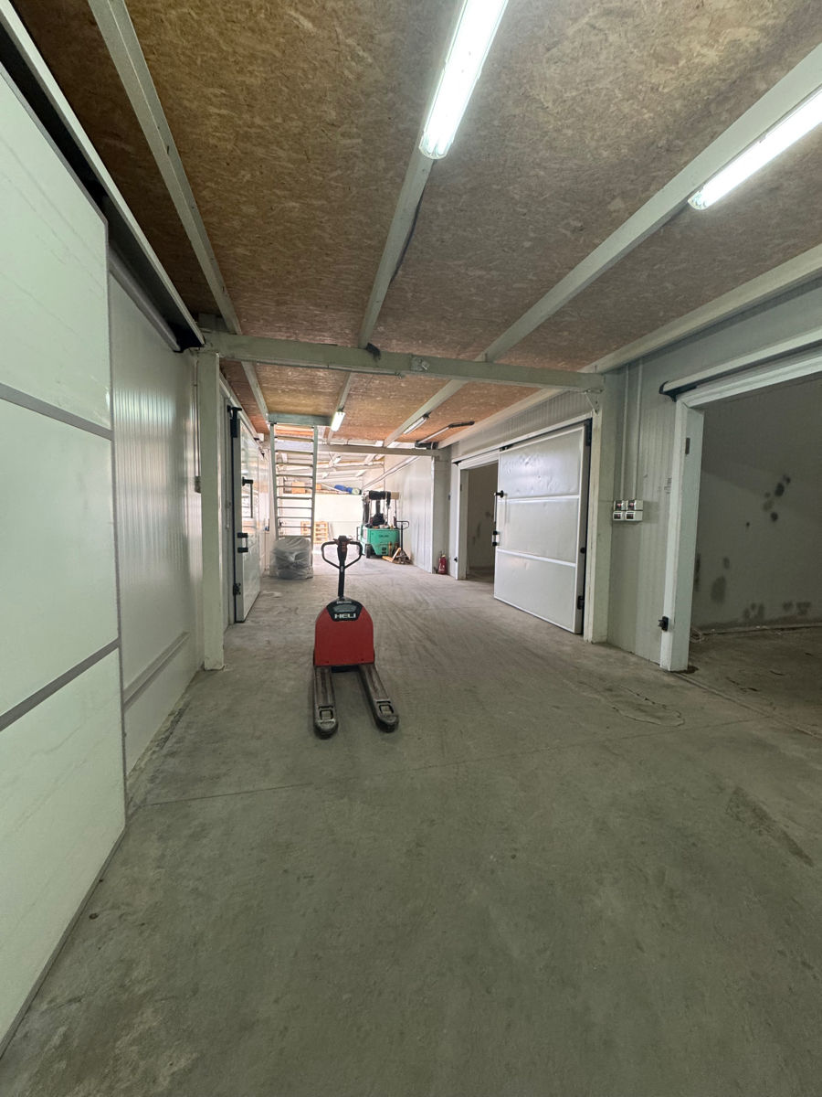 Depozit cu camere frigorifice de vânzare – Zona industrială foto 4