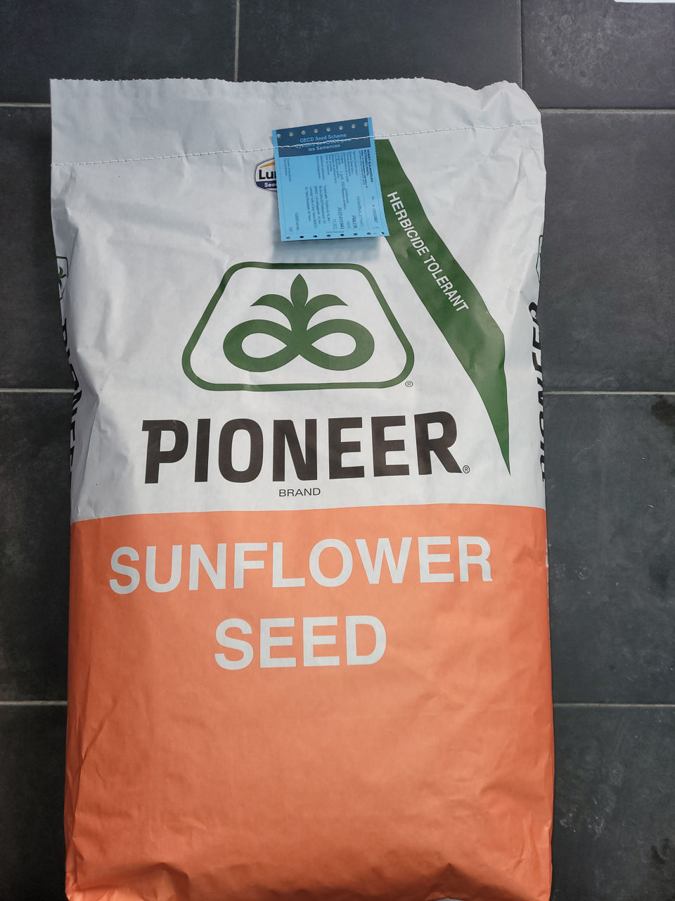 Oferta 2025 semințe Floarea soarelui +erbicid=1050 lei hectarul. foto 1