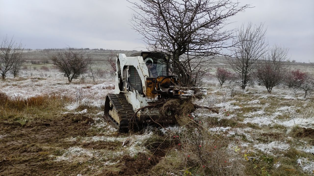 Bobcat, defrișare terenurilor agricole. bobcat foto 3