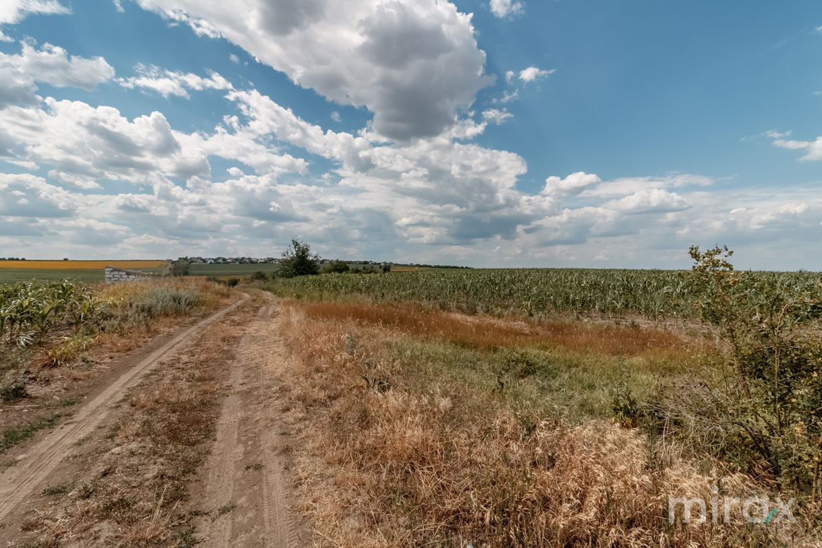 Spre vânzare teren, destinație agricolă amplasat în s. Sângera foto 3