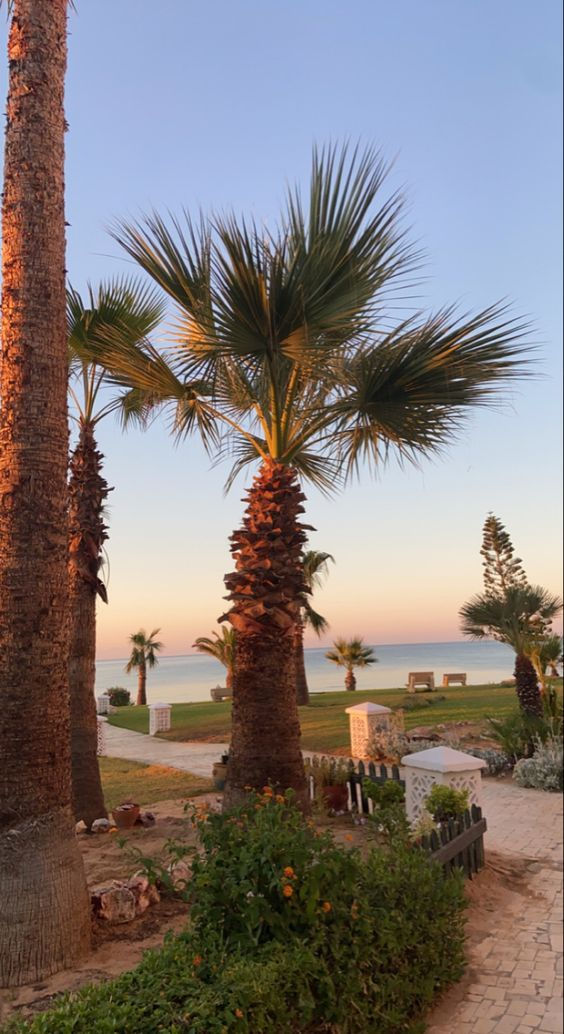 Zboară în Tunisia! Soare, plaje și All Inclusive – de la 475 €! foto 4