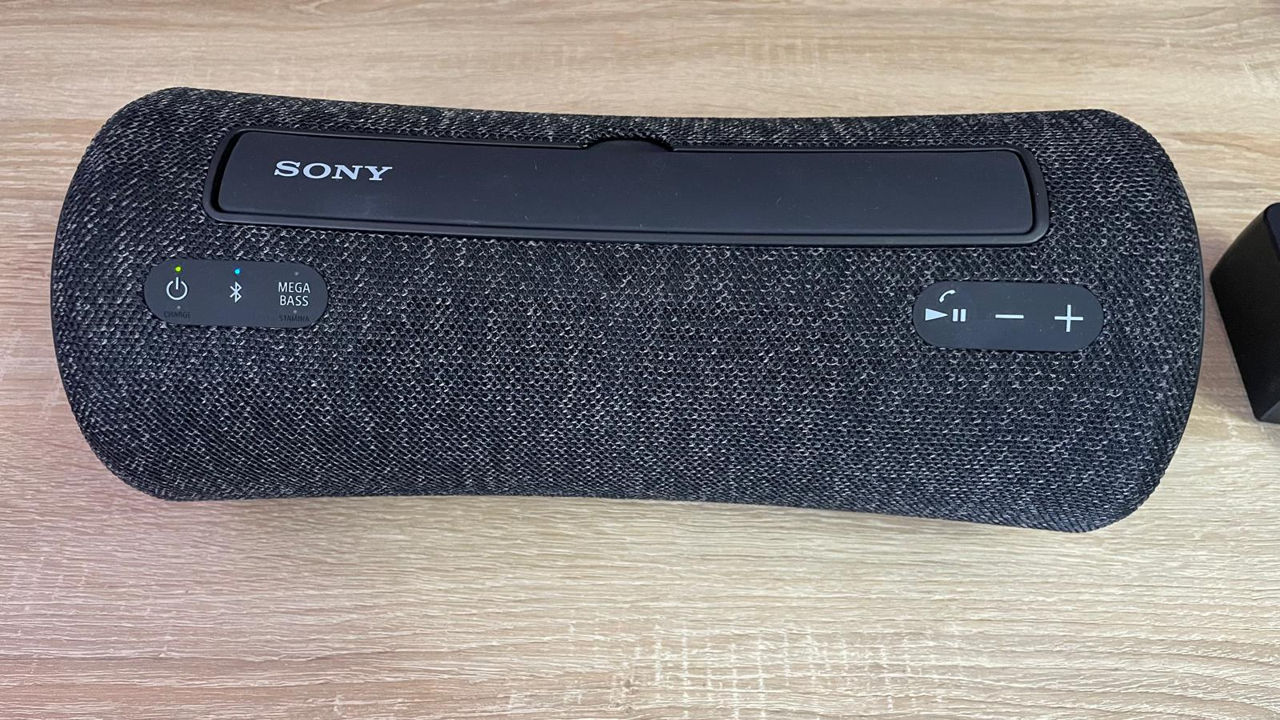 Портативная колонка SONY SRS-XG300