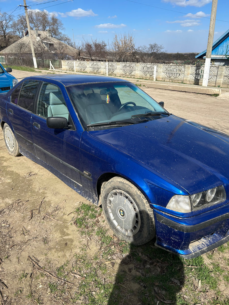 BMW 3 Series фото 3