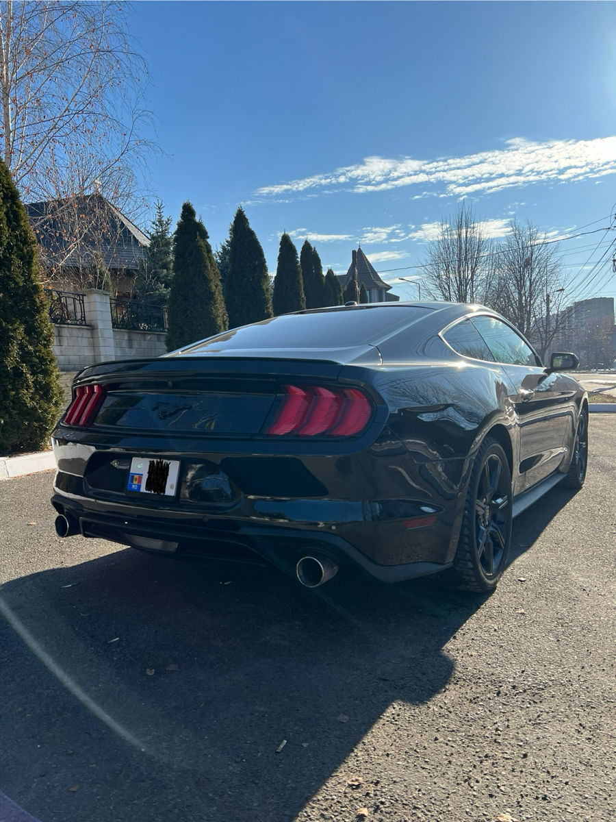 Ford Mustang foto 2