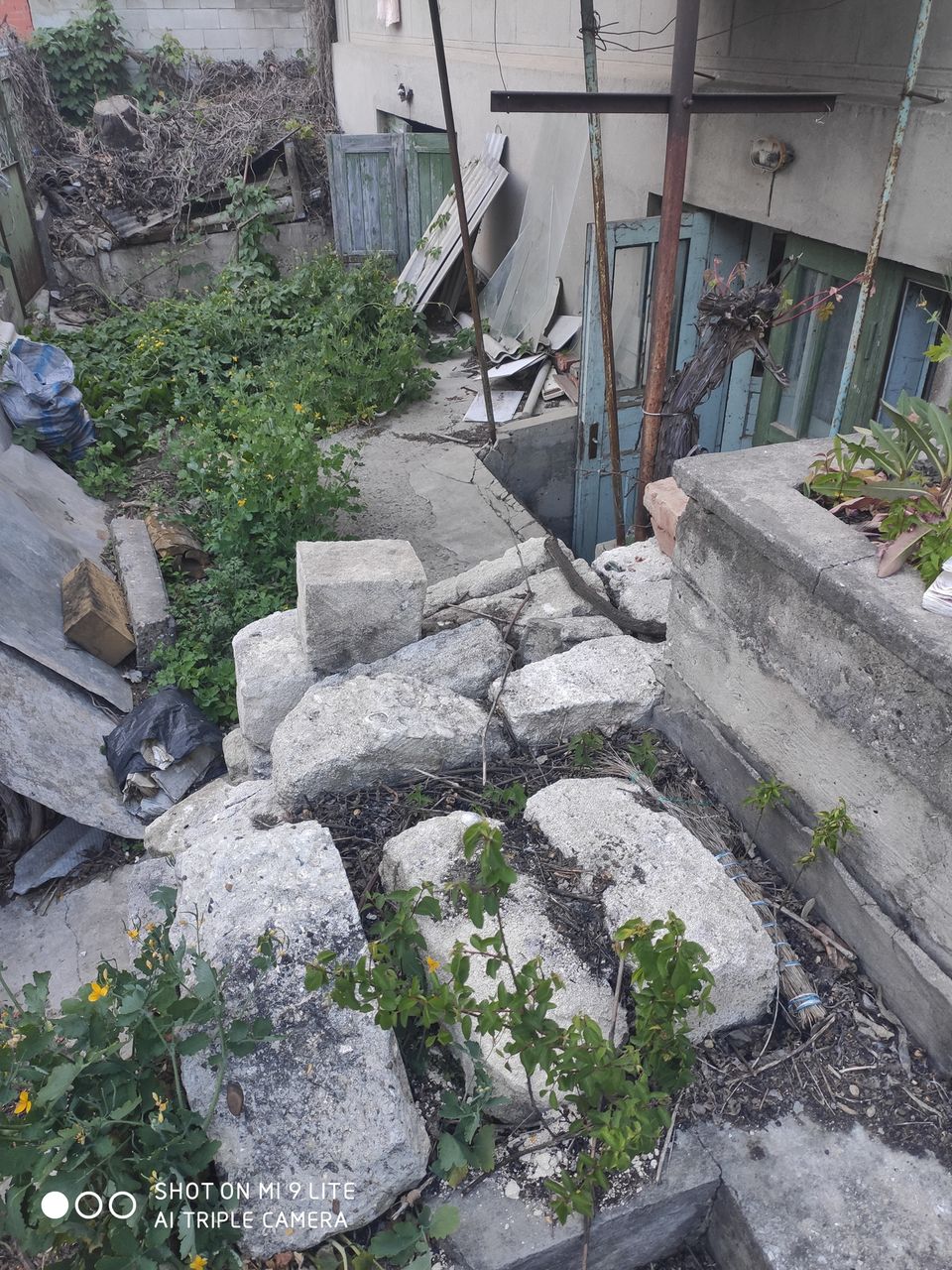 Curat la vila. Gradina si amenajarea фото 3