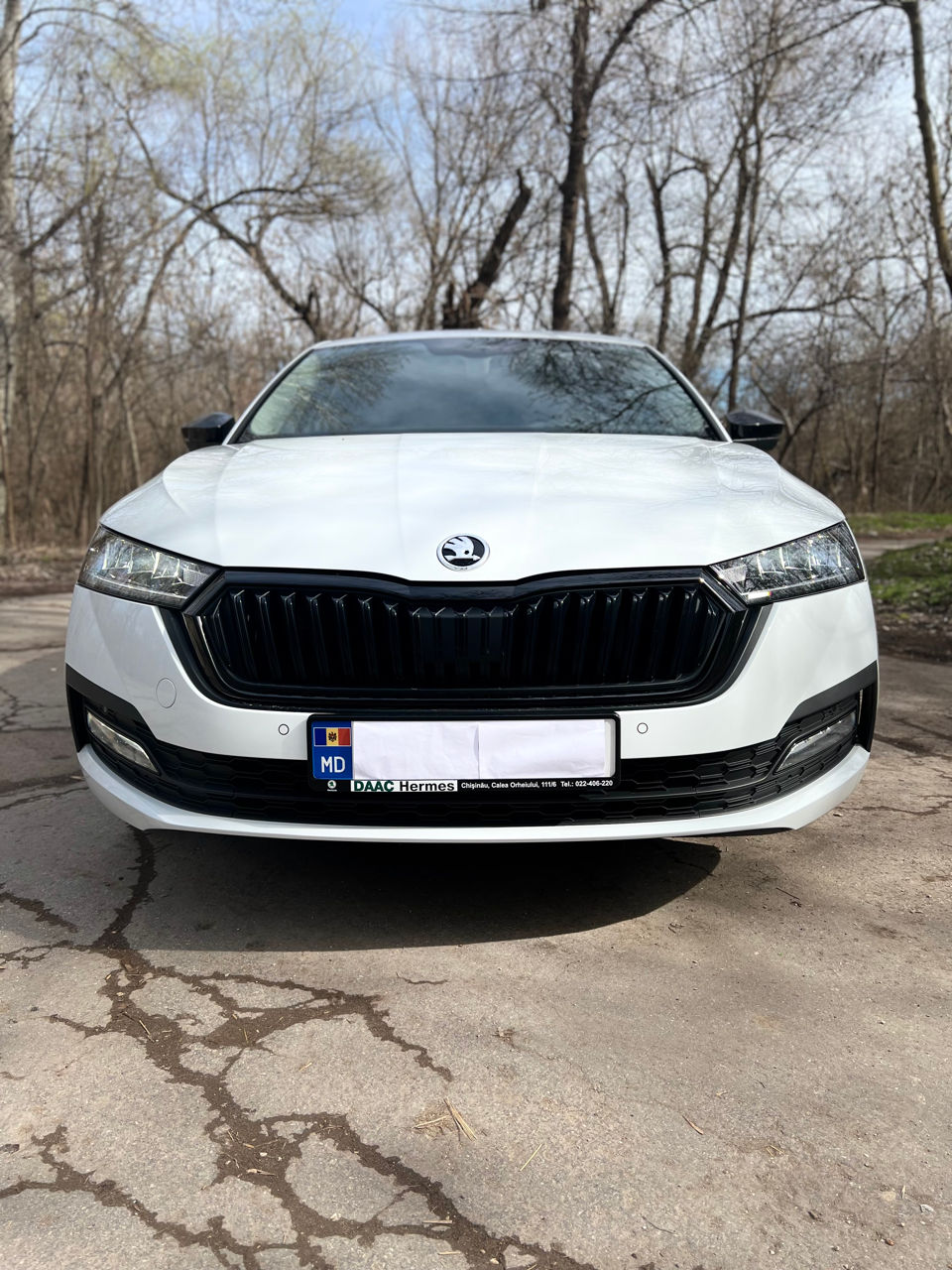 Skoda Octavia фото 2