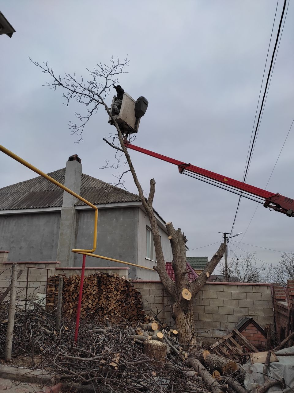 Curat in gradina la vila. Curatare defrisare teren.Taierea copacilor foto 8