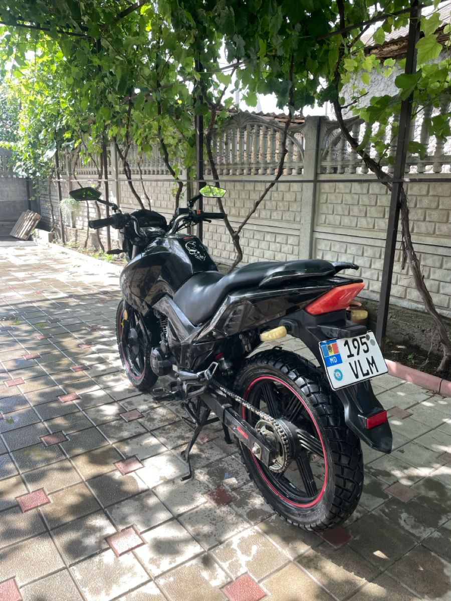Viper  Magnum 250 фото 6
