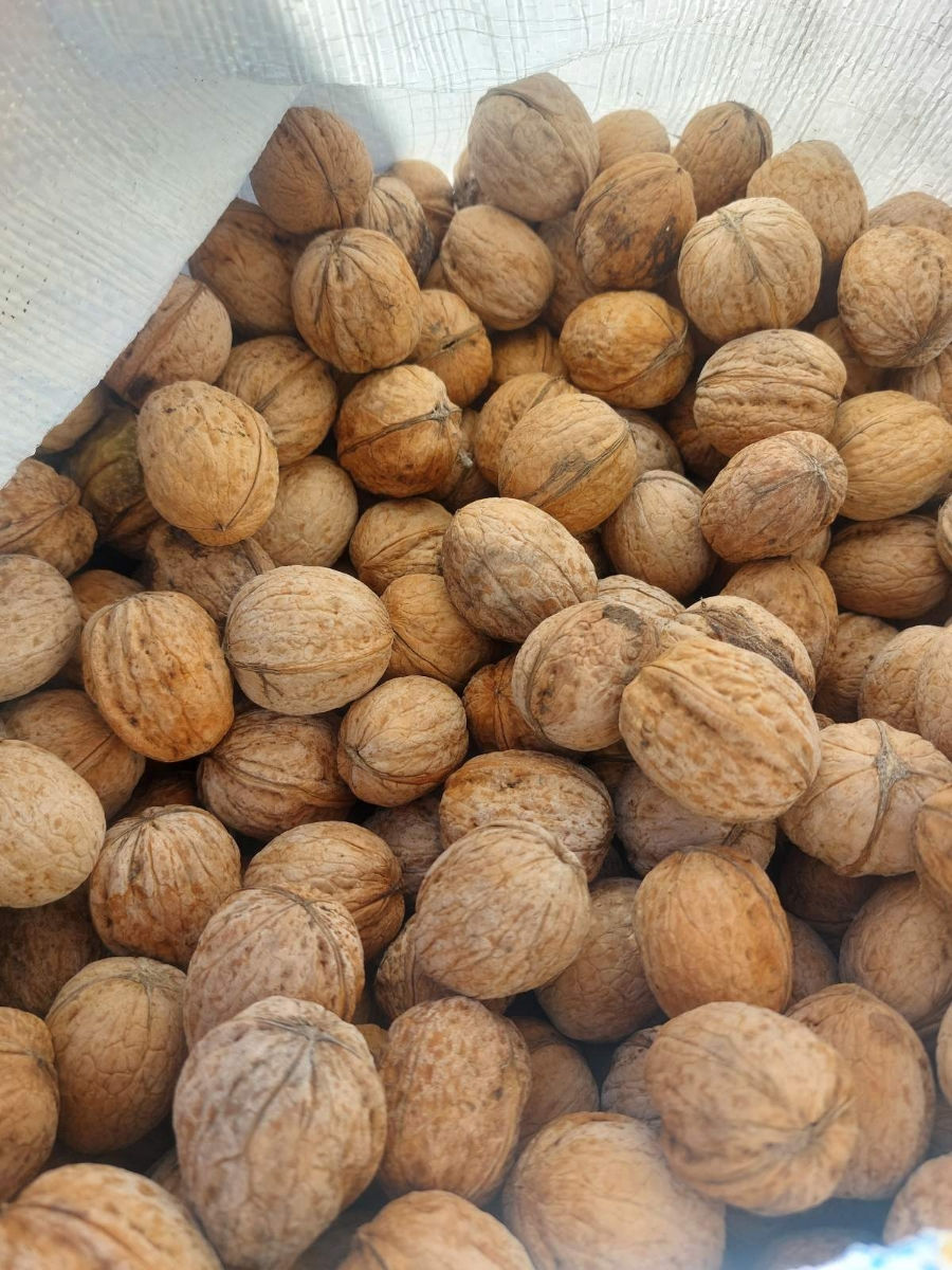 Nuci cumparam foto 0