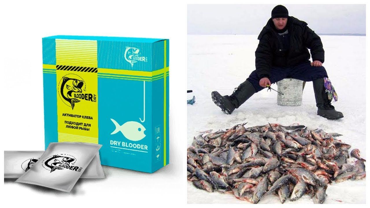Сухая кровь Dry Blooder в Архангельске