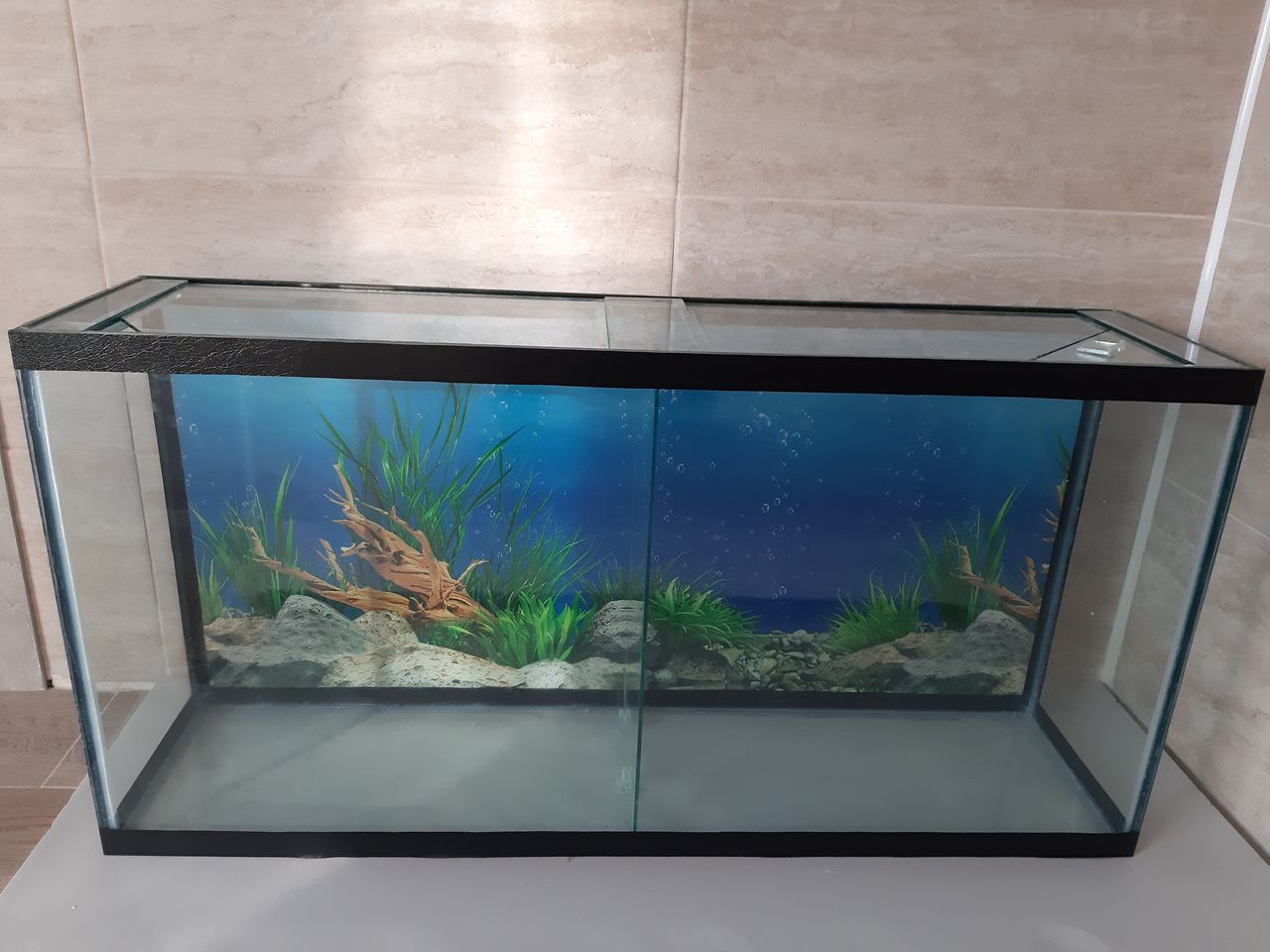 Аквариум-Acvarium